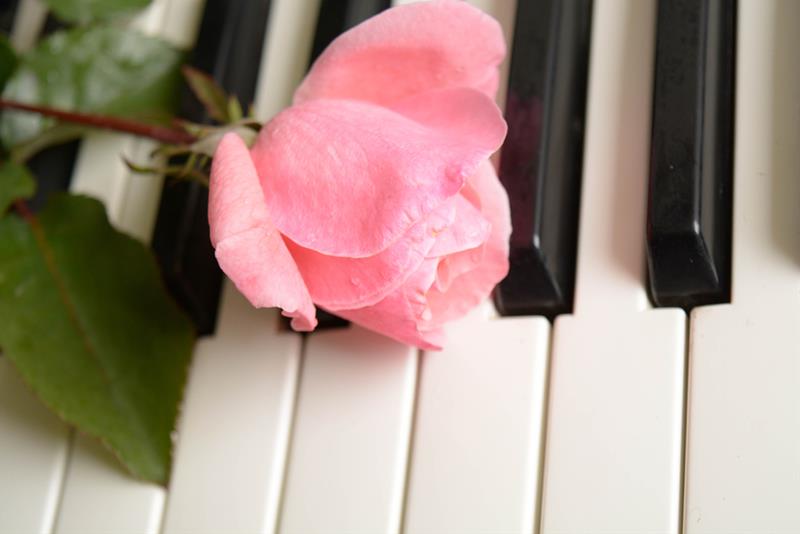 Piano recital in the Lobkowicz Palace at Prague Castle - preview image
